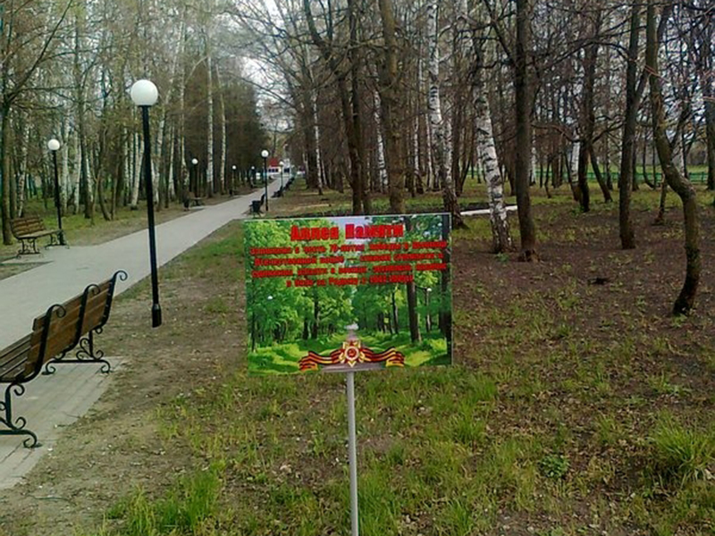 Фотографии.